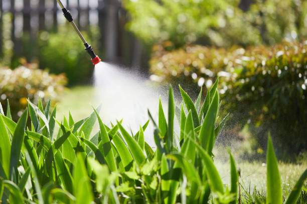 Void Injection for Cockroach Colonies in Boiling Spring Lakes