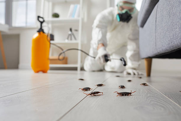 Commercial Kitchen Cockroach Control in Boiling Spring Lakes